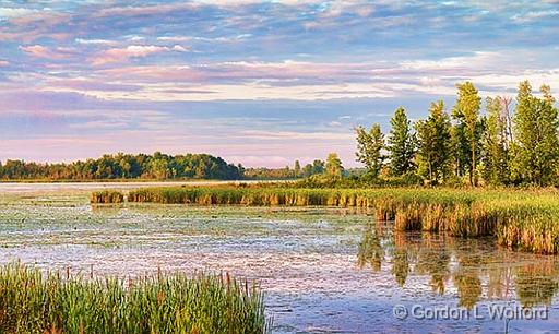 The Swale_24304.jpg - Photographed along the Rideau Canal Waterway at Smiths Falls, Ontario, Canada.